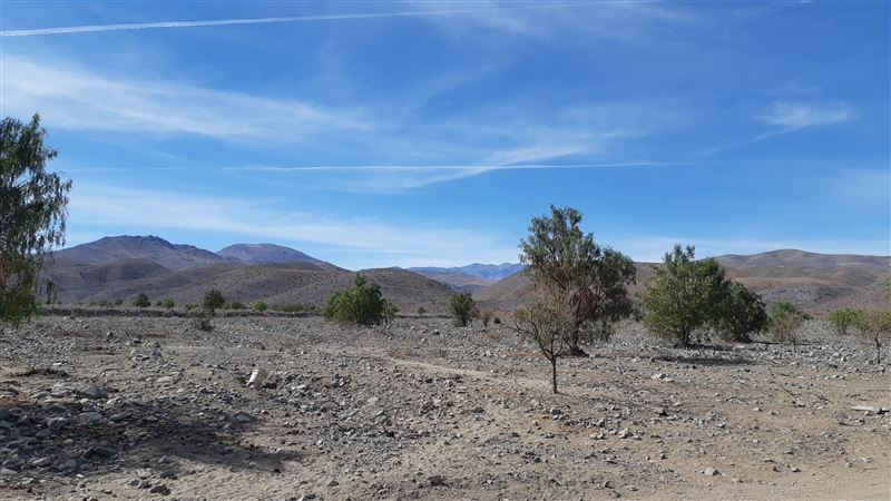 Venta Agrícola La Higuera - Coquimbo