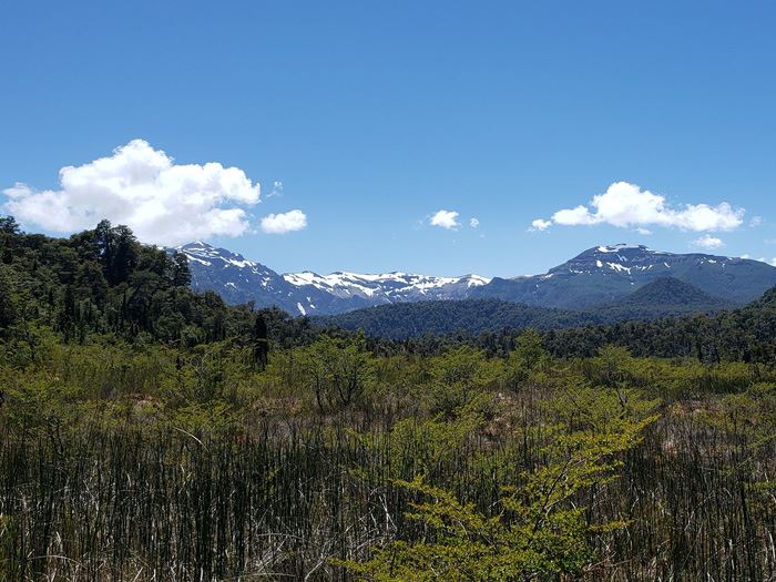 Venta Parcela Puyehue - Los Lagos