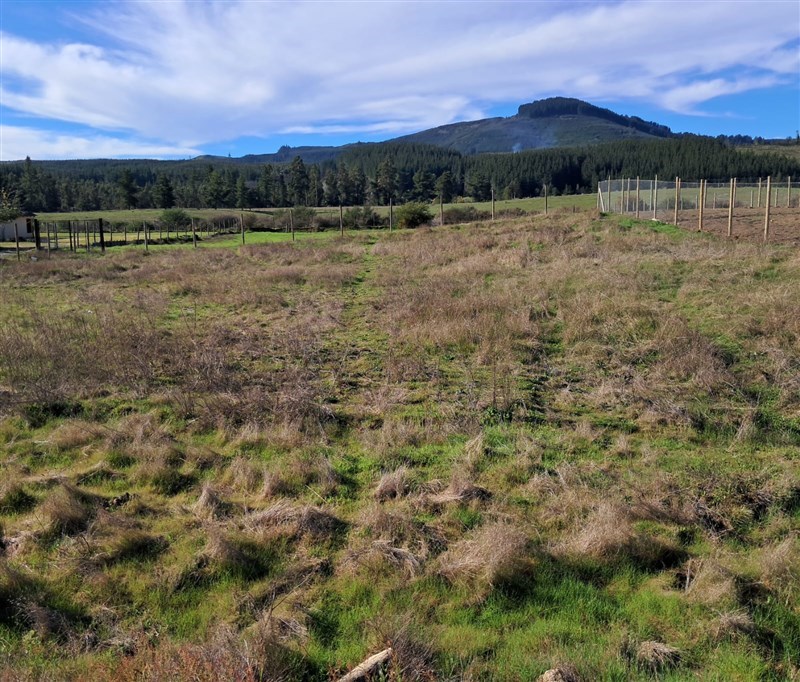 Venta Sitio Quirihue - Ñuble