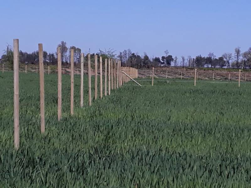 Venta Parcela Coihueco - Ñuble