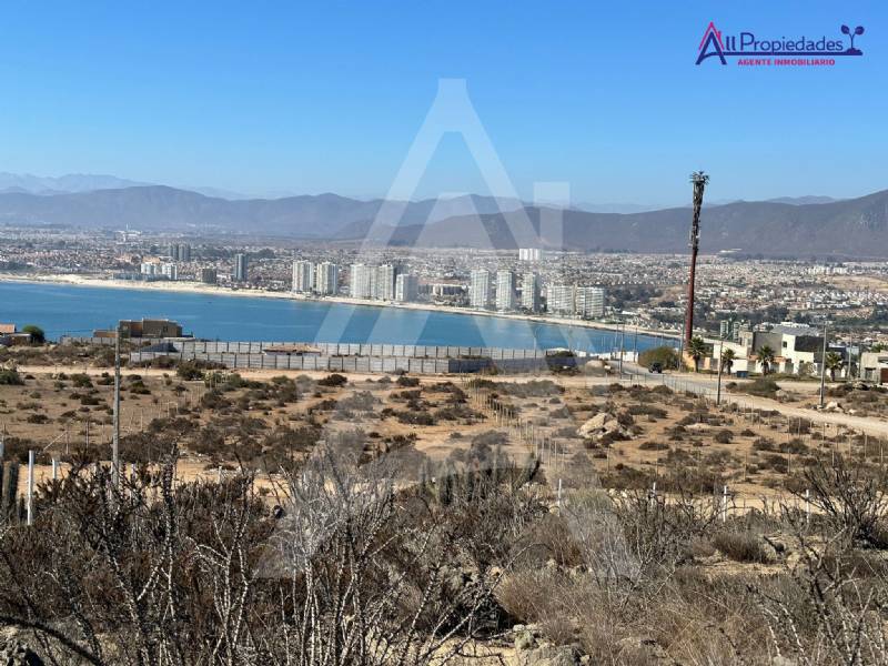 Venta Sitio Coquimbo - Coquimbo