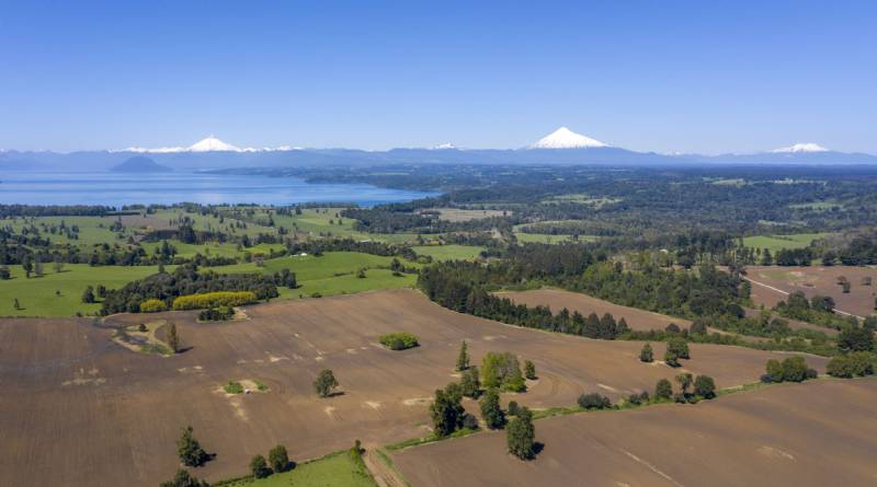 Venta Parcela Puyehue - Los Lagos