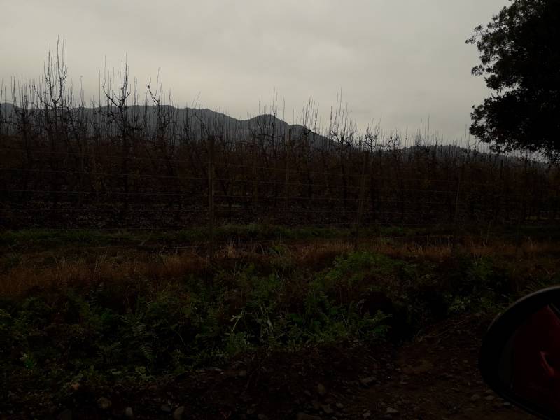 Venta Parcela Rauco - Maule