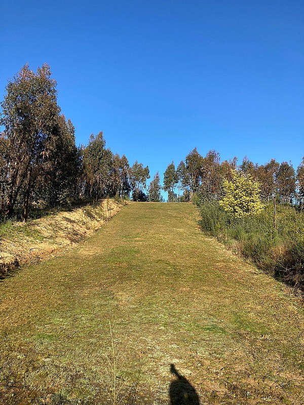 Venta Sitio Hualqui - Biobío