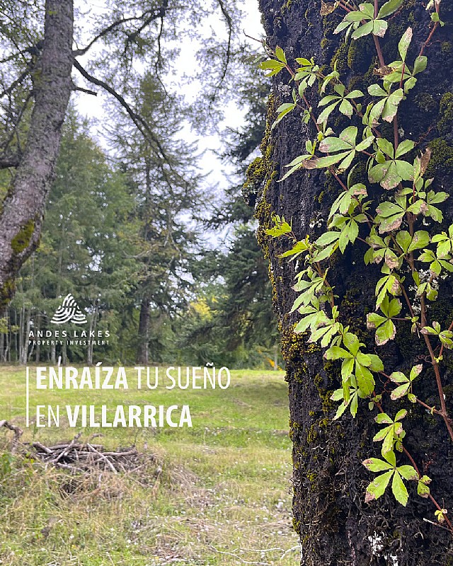 Venta Parcela Villarrica - La Araucanía