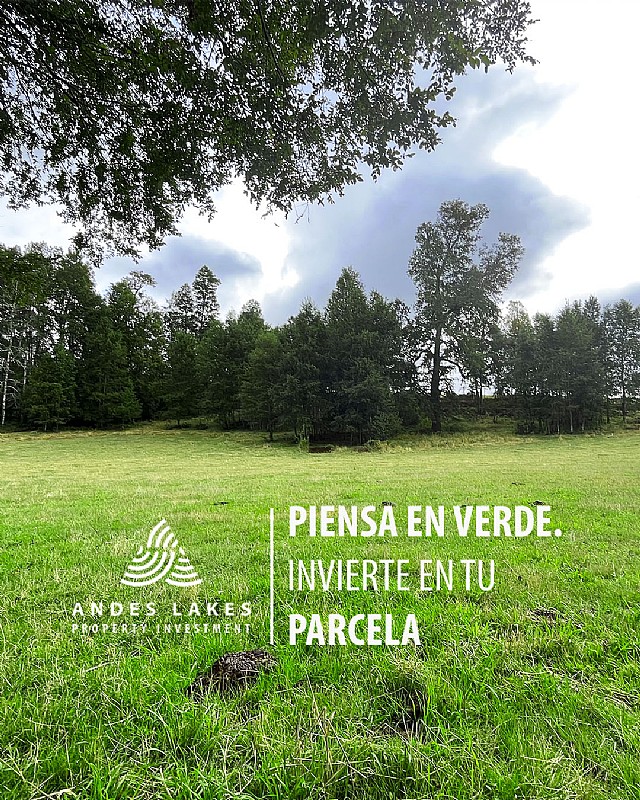 Venta Parcela Villarrica - La Araucanía