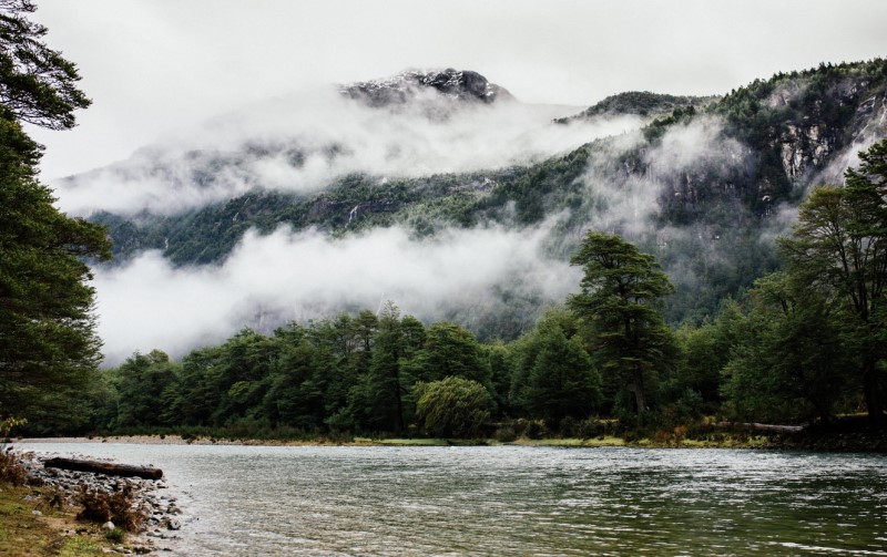 Venta Sitio Cisnes - Aysén