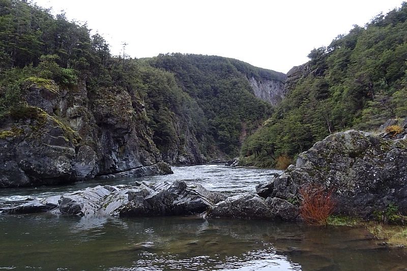 Venta Sitio Cisnes - Aysén