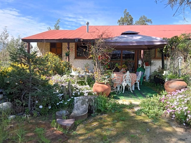 Arriendo Parcela Curacaví - Región Metropolitana