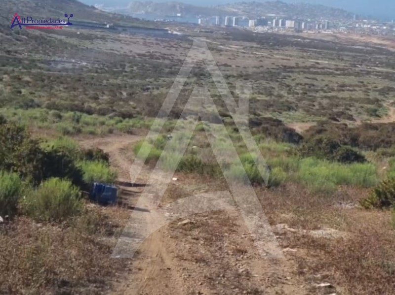 Venta Industrial Coquimbo - Coquimbo