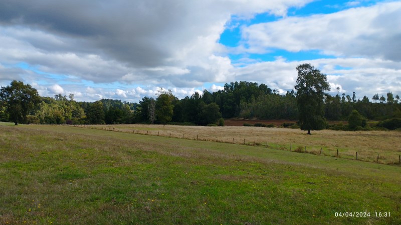 Venta Agrícola Cunco - La Araucanía