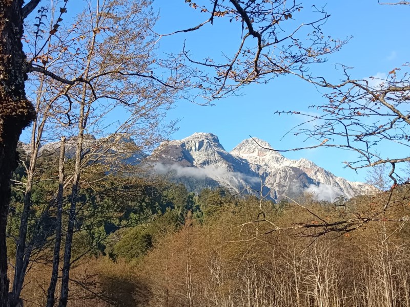 Venta Parcela Chaitén - Los Lagos