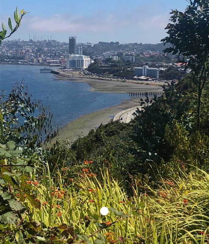 Venta Sitio Puerto Montt - Los Lagos