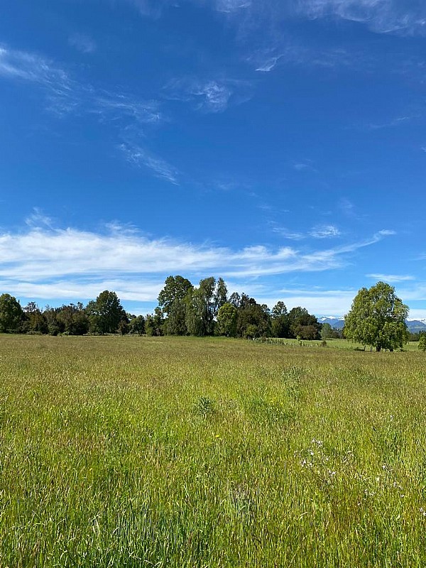 Venta Parcela Osorno - Los Lagos
