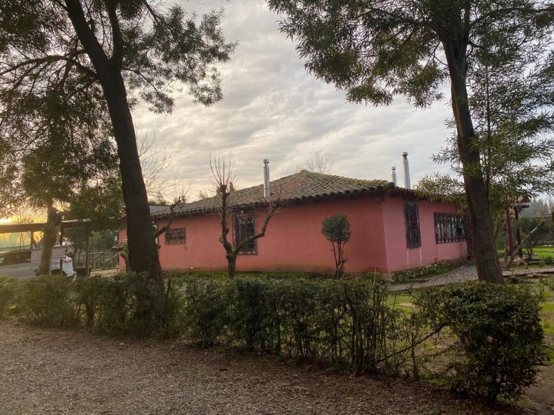 Arriendo Parcela Linares - Maule