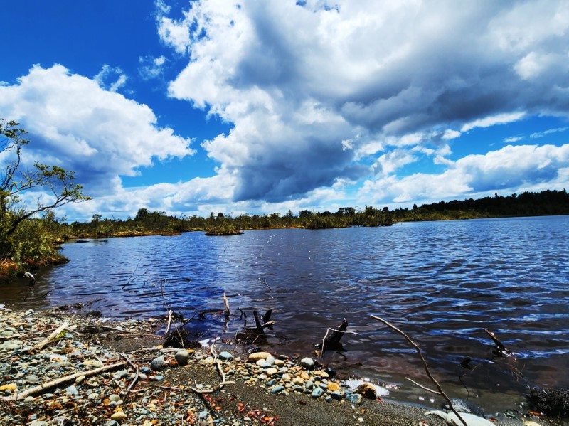 Venta Parcela Quemchi - Los Lagos