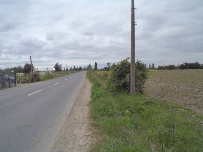 Arriendo Parcela Longaví - Maule