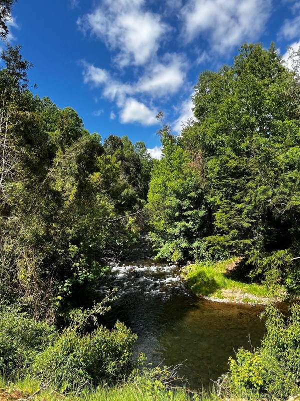 Venta Parcela Villarrica - La Araucanía