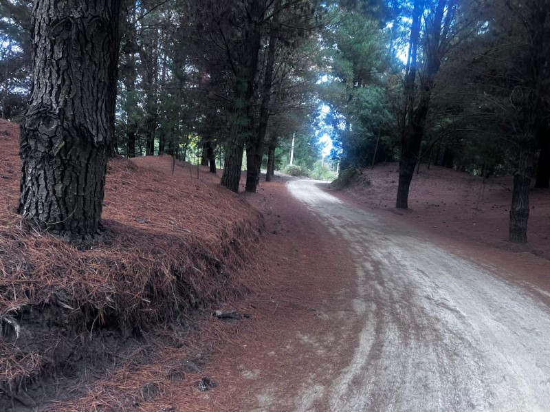 Venta Sitio Hualqui - Biobío