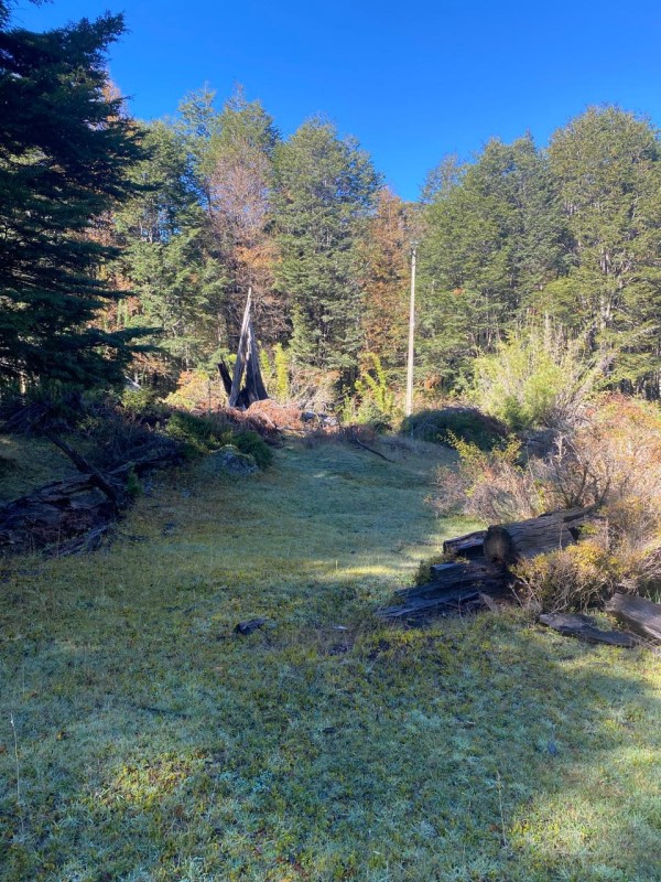 Venta Parcela Panguipulli - Los Ríos