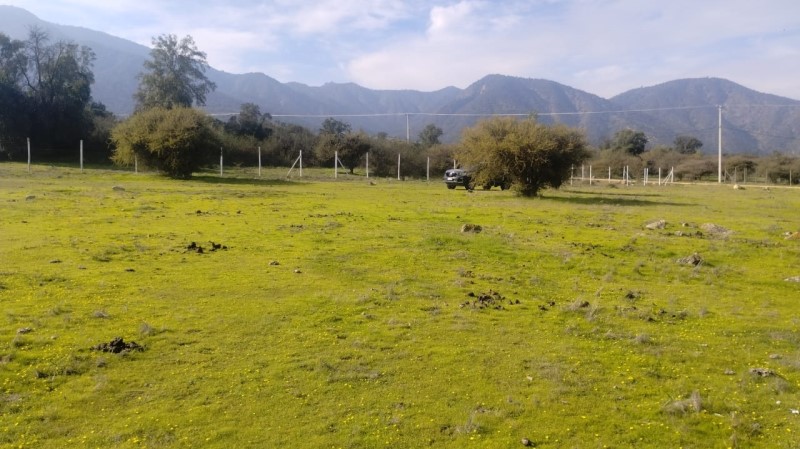 Venta Parcela Las Cabras - O'Higgins