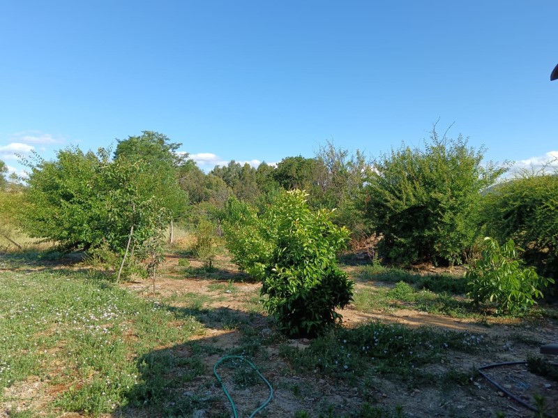 Venta Agrícola Gorbea - La Araucanía