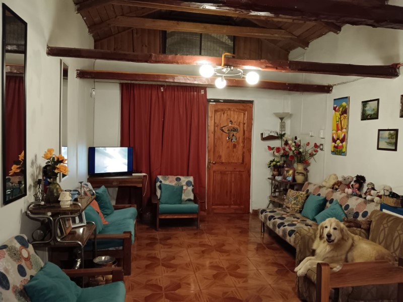 Venta Parcela Santa Cruz - O'Higgins