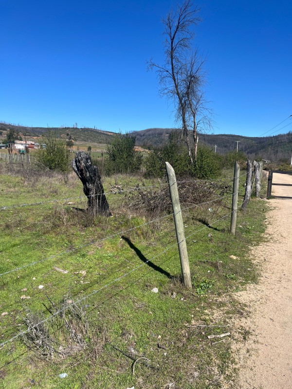 Venta Sitio Santa Juana - Biobío