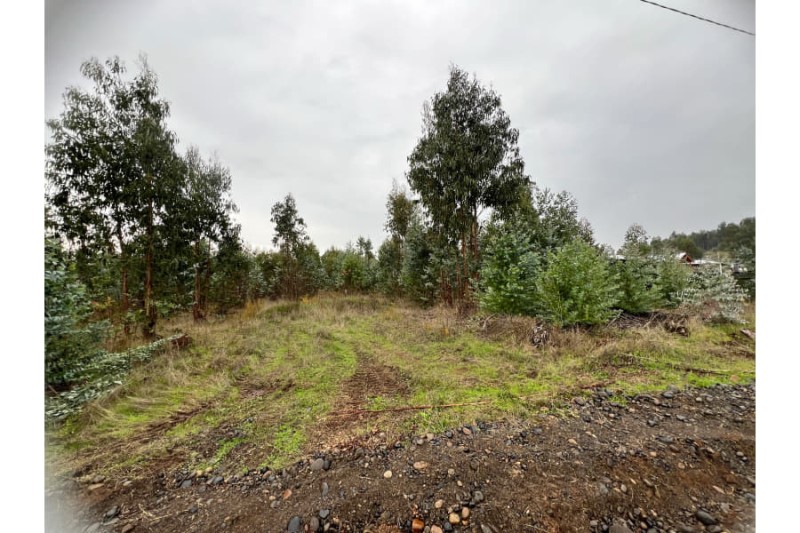 Venta Parcela Chillan Viejo - Ñuble