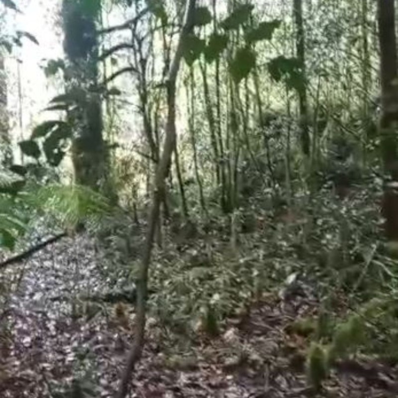 Venta Parcela Puerto Varas - Los Lagos