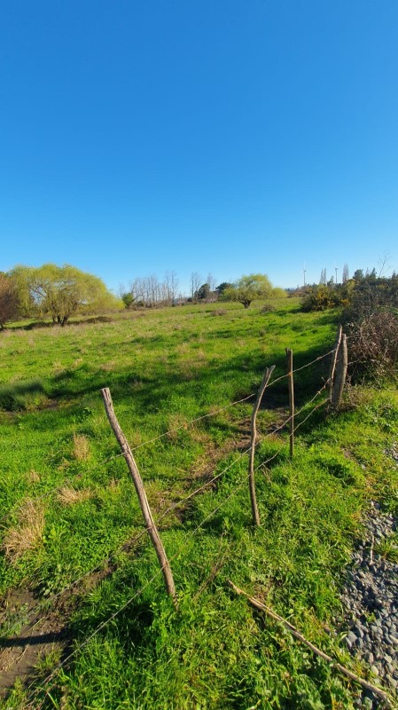 Venta Sitio Los Angeles - Biobío