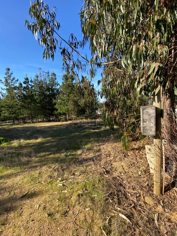 Venta Sitio Algarrobo - Valparaíso
