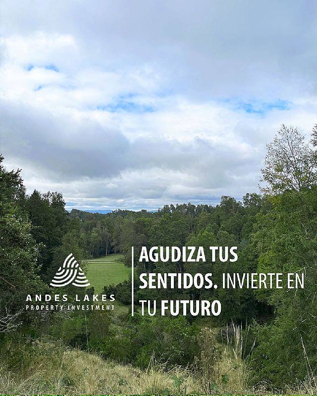 Venta Parcela Villarrica - La Araucanía