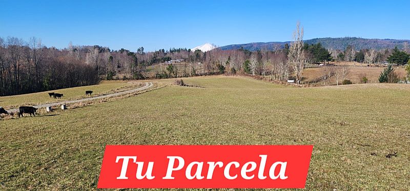 Venta Parcela Villarrica - La Araucanía