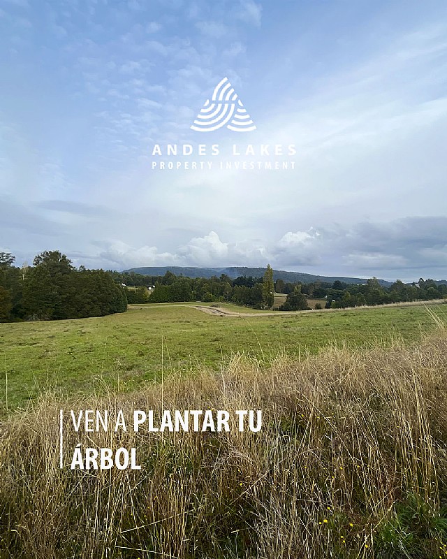 Venta Parcela Villarrica - La Araucanía