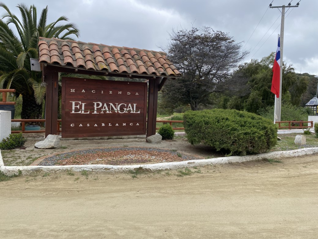 Venta Parcela Casablanca - Valparaíso