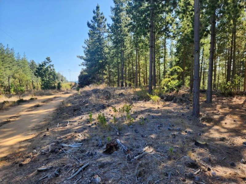 Venta Parcela Casablanca - Valparaíso