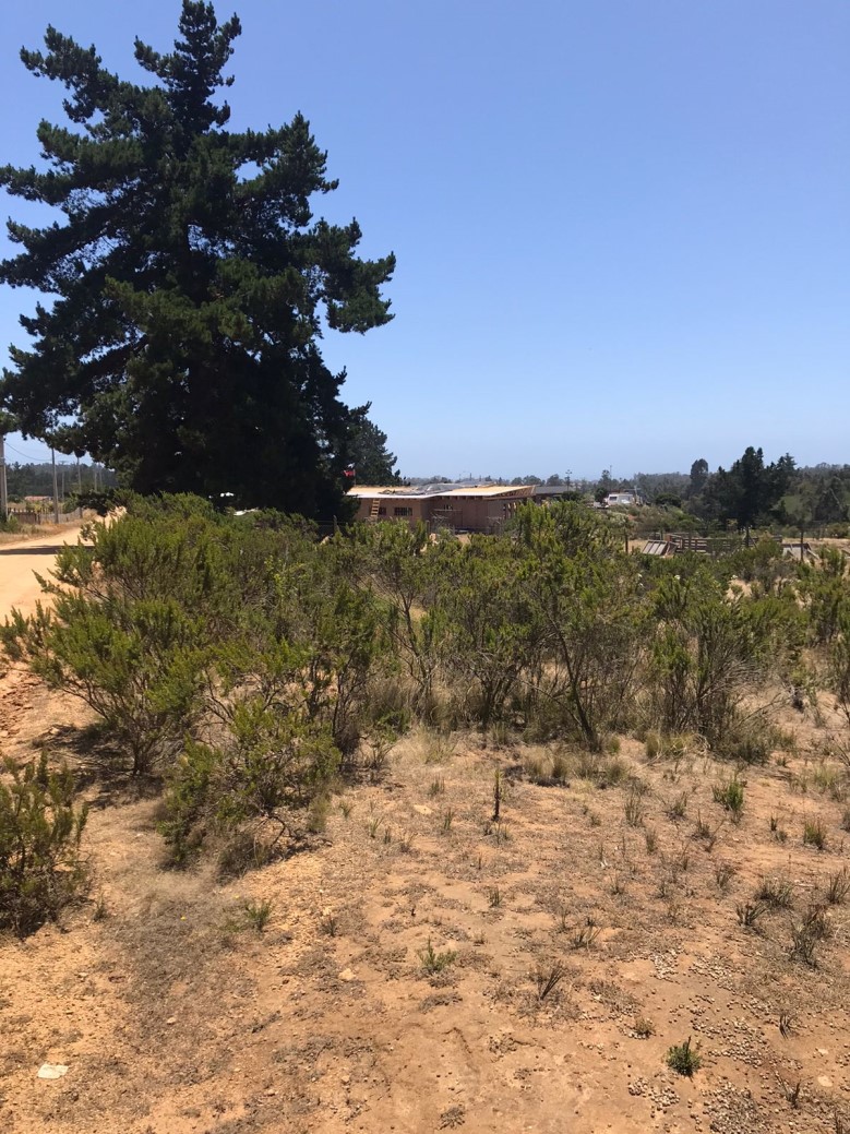 Venta Parcela Algarrobo - Valparaíso