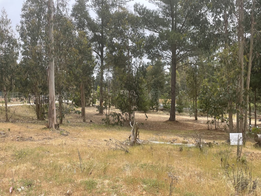 Venta Sitio El Quisco - Valparaíso