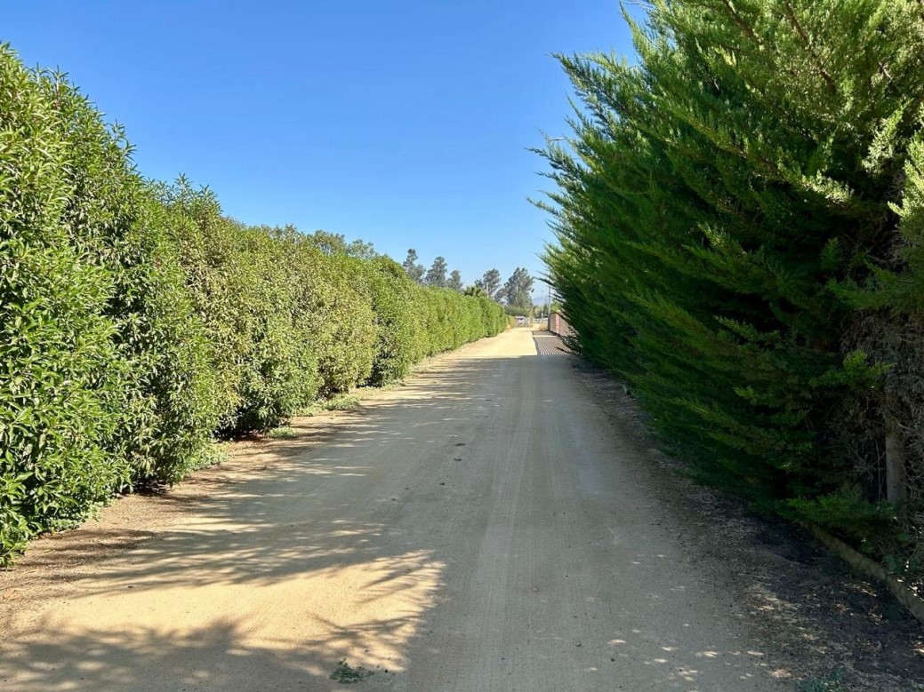 Venta Parcela Melipilla - Región Metropolitana