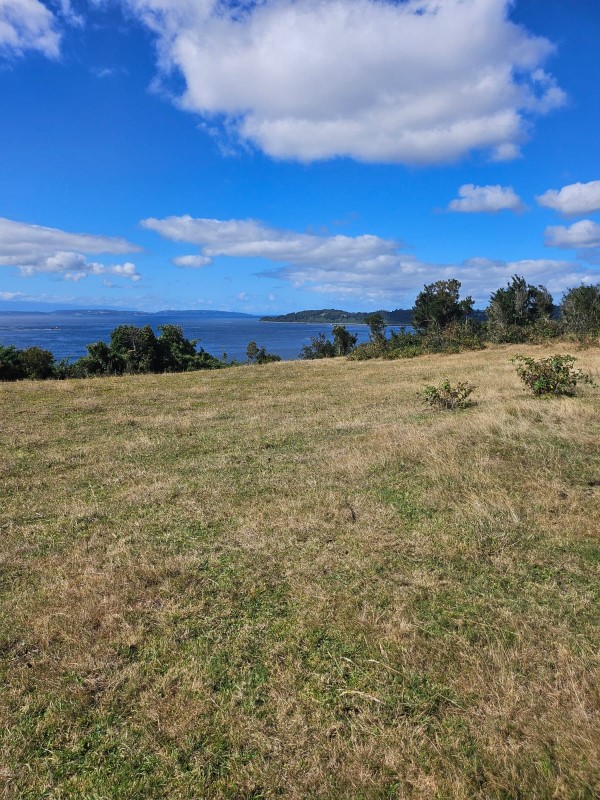 Venta Parcela Puerto Montt - Los Lagos