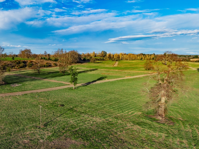Venta Parcela Río Bueno - Los Ríos