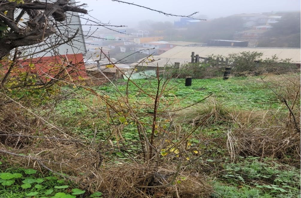 Venta Sitio Valparaíso - Valparaíso