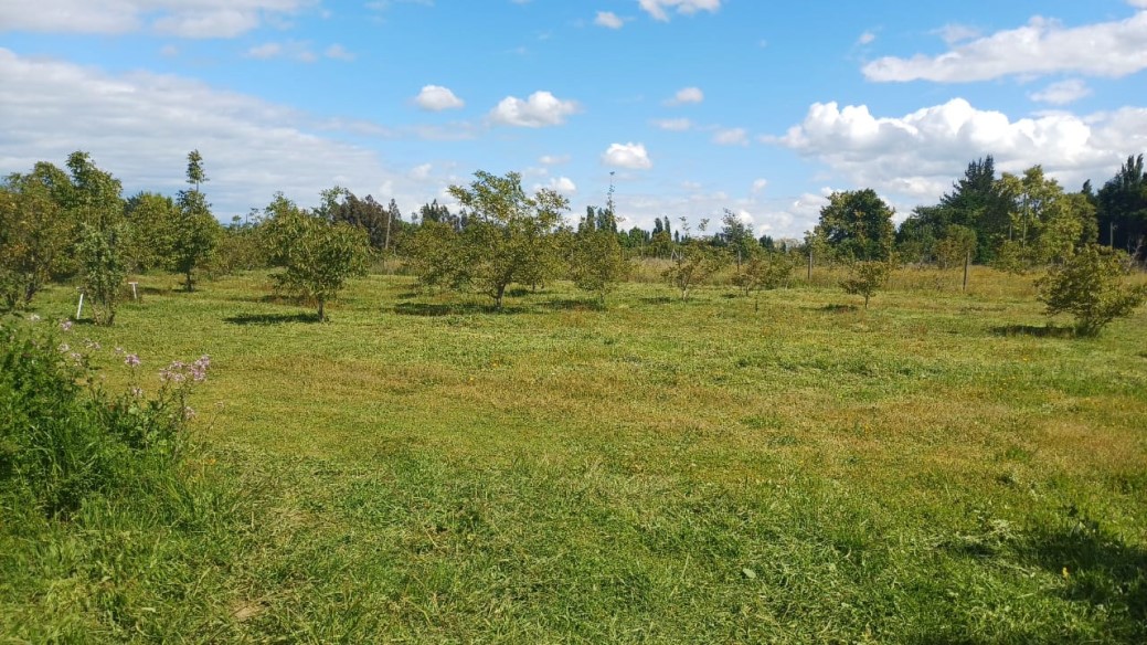 Venta Parcela Pencahue - Maule