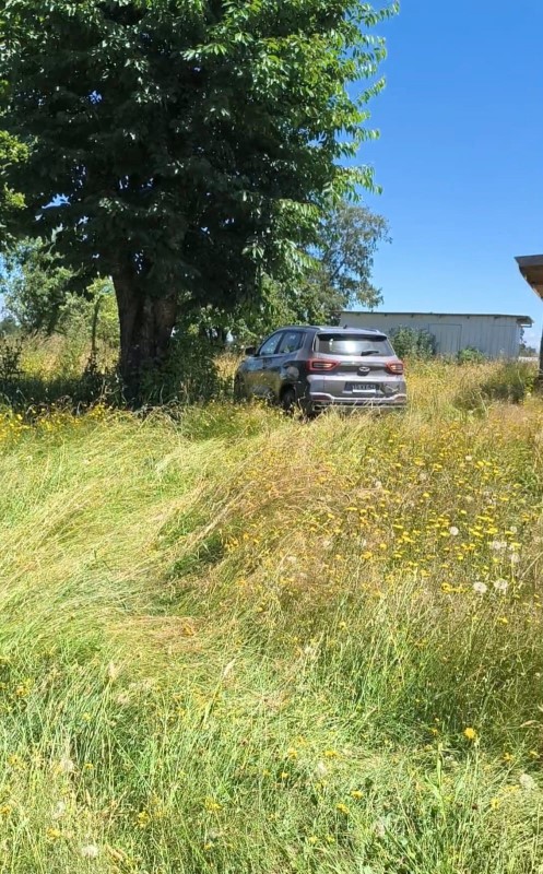 Venta Parcela Río Bueno - Los Ríos
