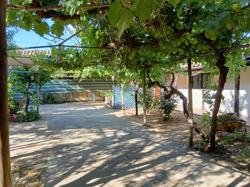 Venta Parcela Santa Cruz - O'Higgins