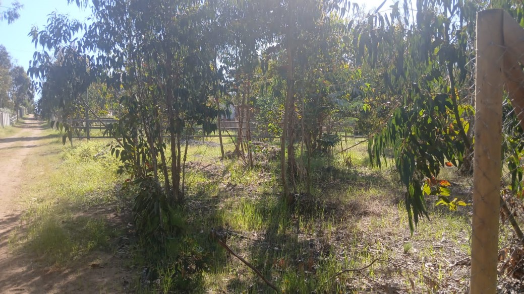 Venta Sitio La Ligua - Valparaíso