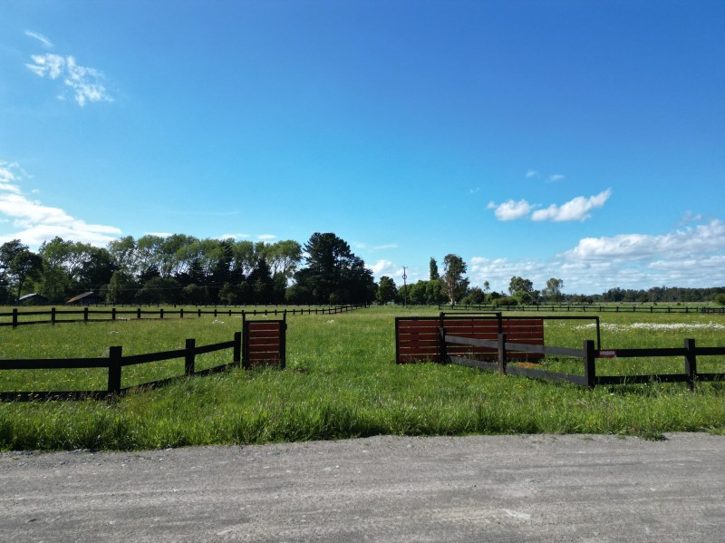 Venta Parcela Puerto Octay - Los Lagos