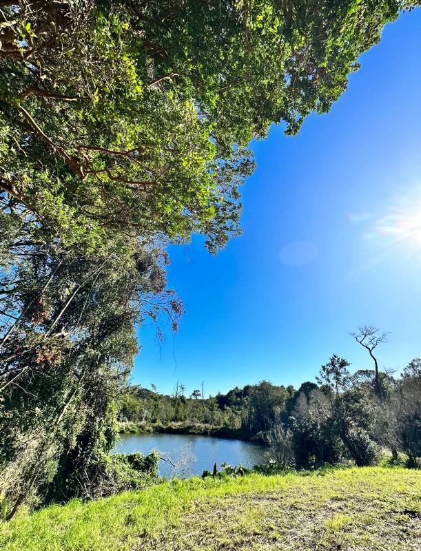 Venta Parcela Puerto Varas - Los Lagos