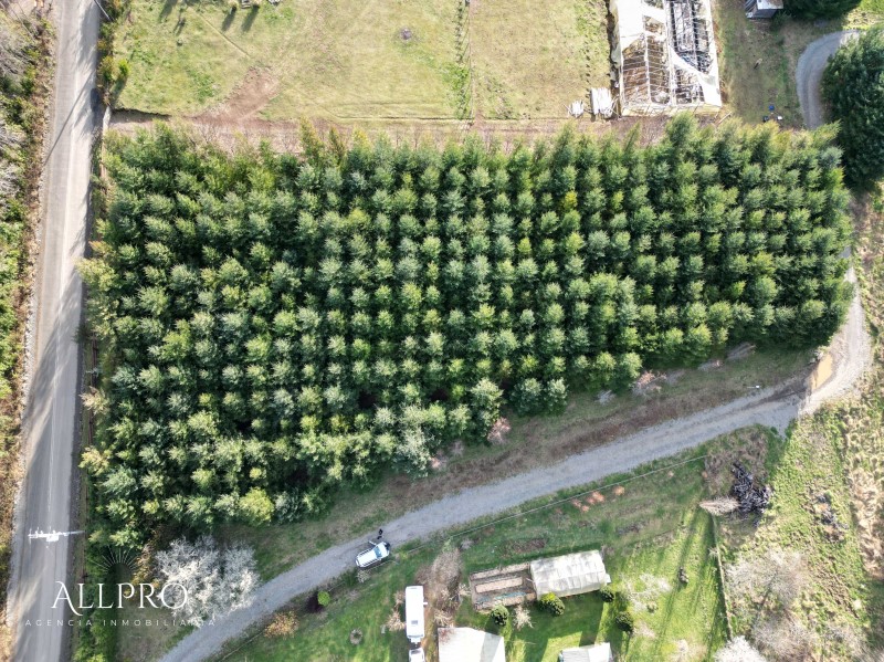 Venta Parcela Villarrica - La Araucanía